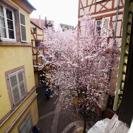 Bim Maidala Appartement Colmar