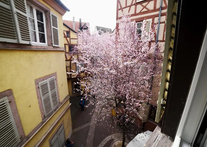 Bim Maidala Апартаменты Кольмар